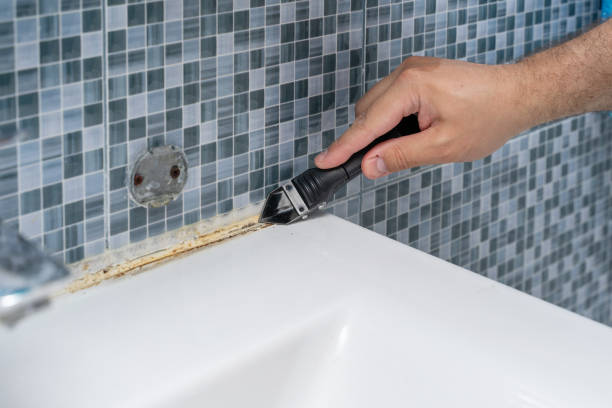 Best Mold Removal Near Me  in Borrego Springs, CA