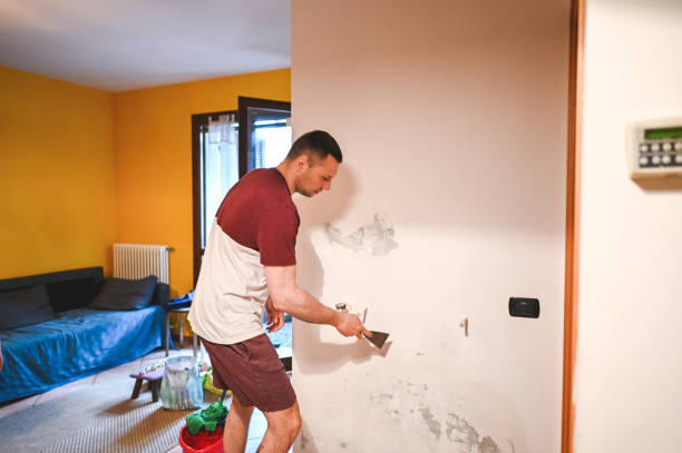Attic Mold Removal in Borrego Springs, CA